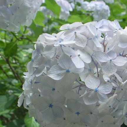 Баян Токтыбаева