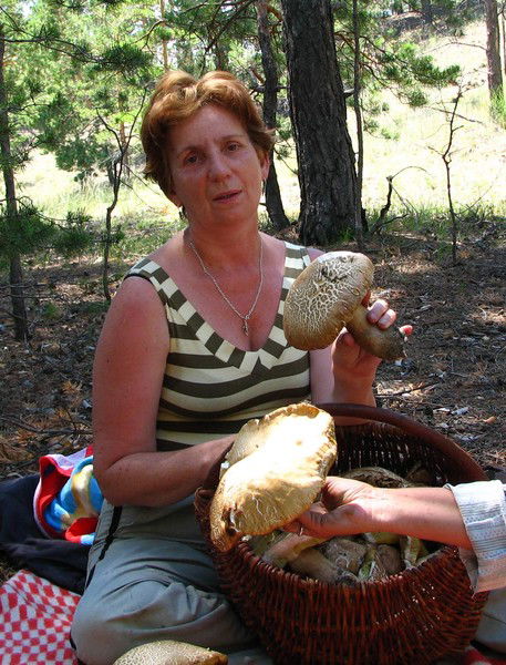 Раиса Савченко