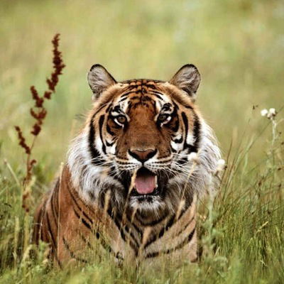 Константин Жбанов