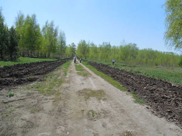 Марина Шевченко