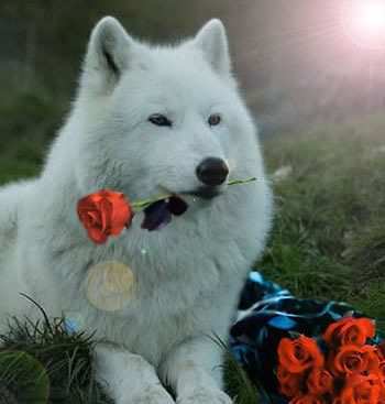 Лена Ткачёва