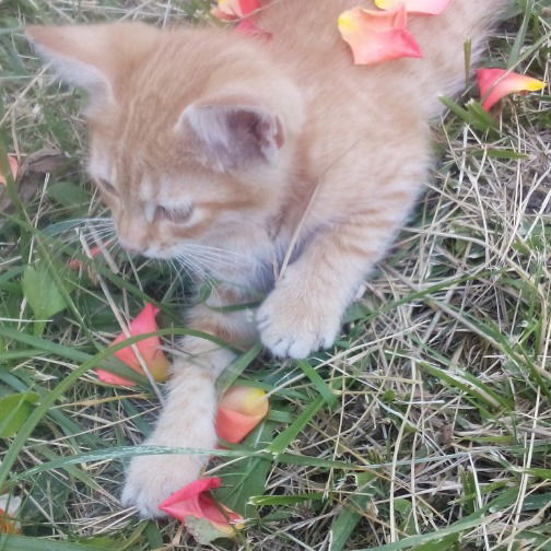 Маша Подольская