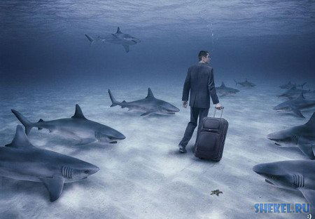 Николай Степанов