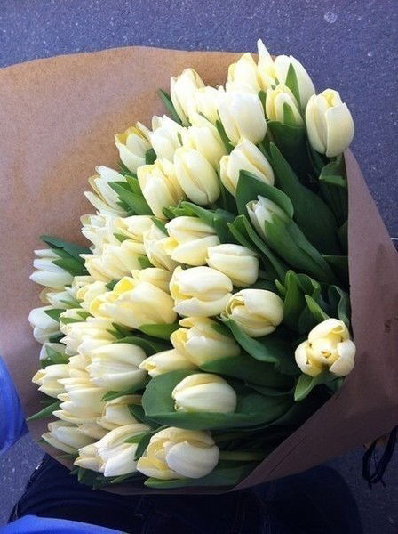 Людмила Егорова