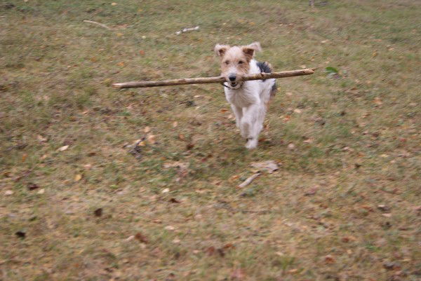 Виктор Зерщиков