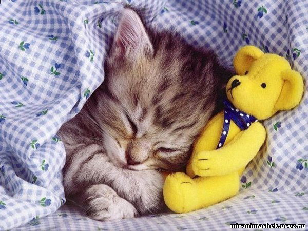 Назира Базикеева