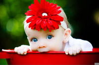 Гульнара Шалунишкина