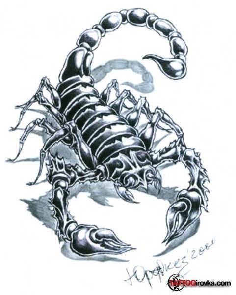 Светлана Парфенова