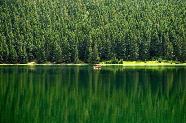 Антон Приходько