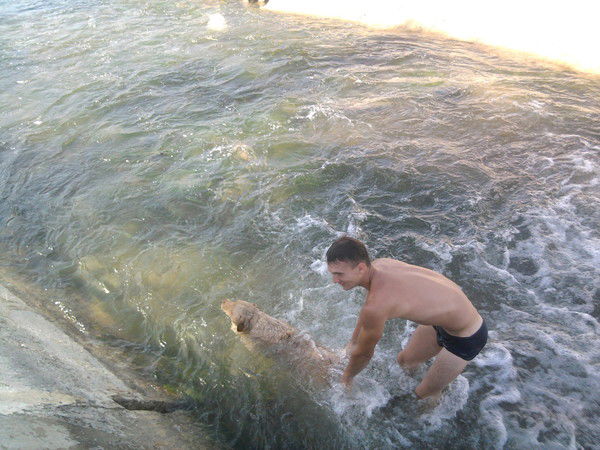 Зайцев Александр