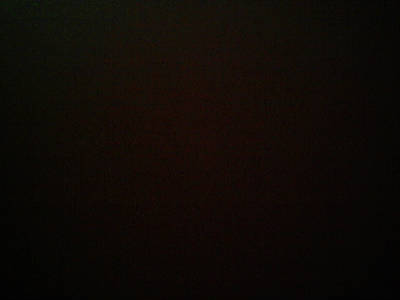 Вероника Сыромятникова