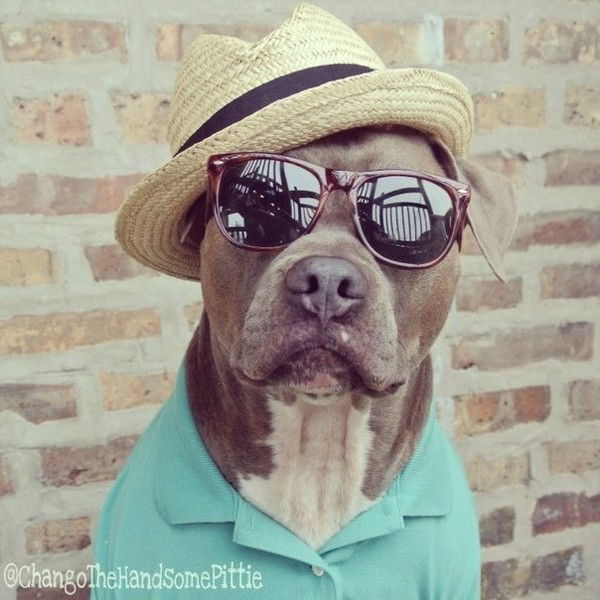 Тюряга Добовляйтесьt