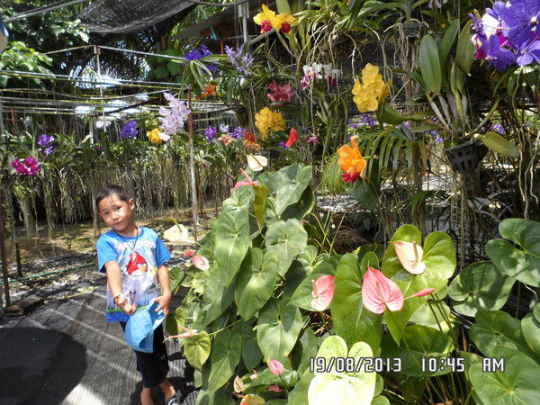 Botaкоз Turusvekoba