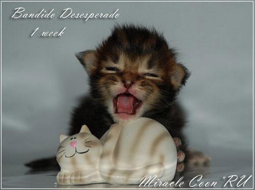 Александр Nich