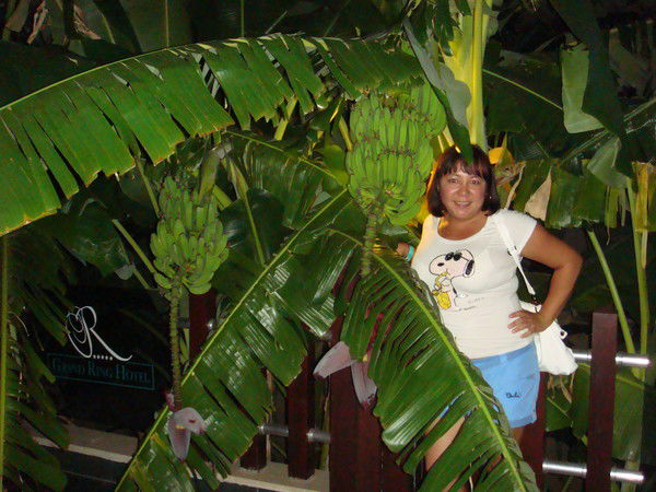 Гульнара Нургалиева