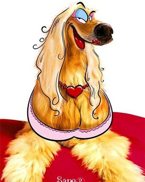 Лиля Гутова