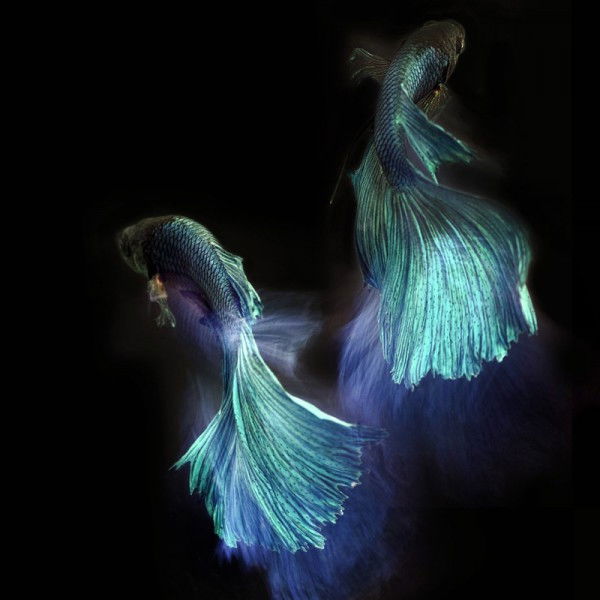 Saltanat Zhakunbekowa