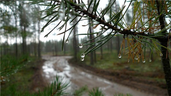 Юлия Галицкая