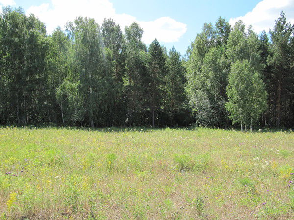 Валентина Владимирова