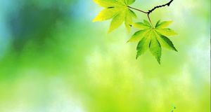 Ольга Цапова