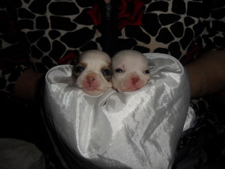 Наталья Люкова