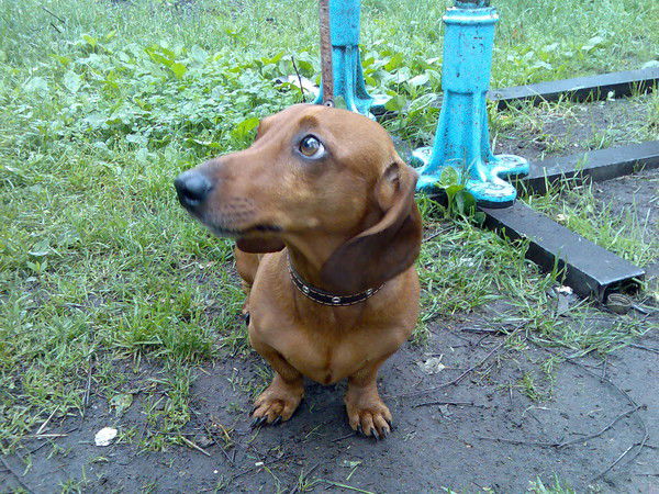 Артём Феденков