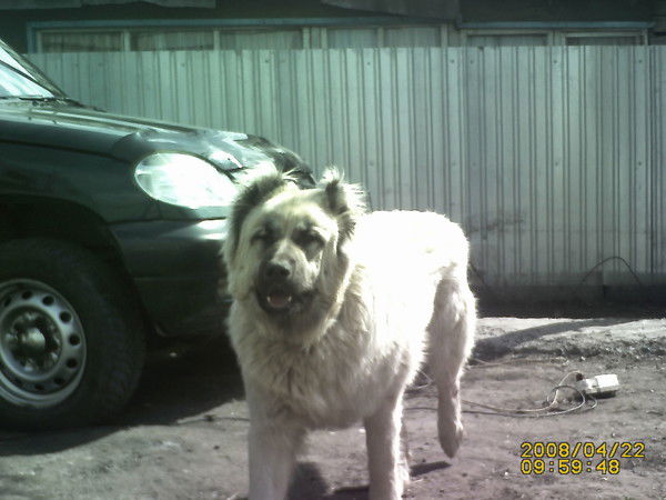 Виктор Чернов