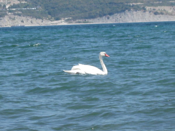 Любовь Мазур