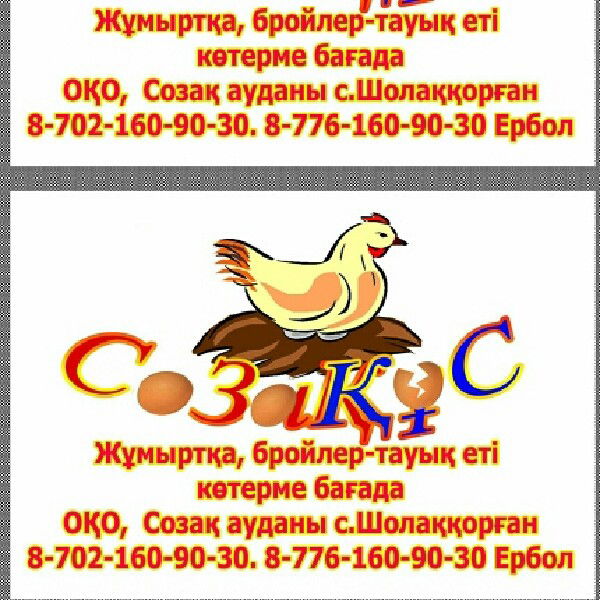 Алшынбаев Ербол