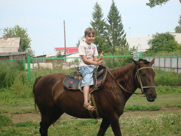 Данила Цитович