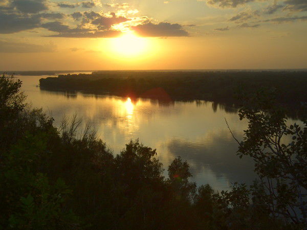 Елена Чернявская