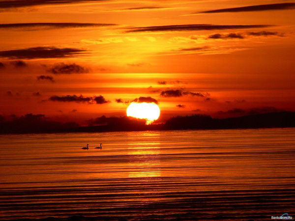 Наталья Малыгина