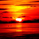 Наталья Малыгина