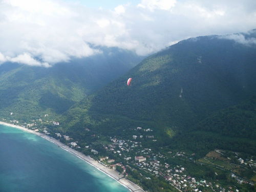 Алена Алексеева