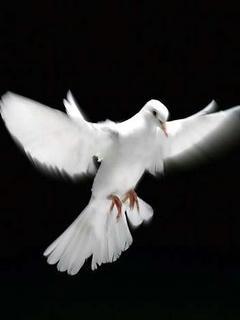 Жумамидин Asan Uulu