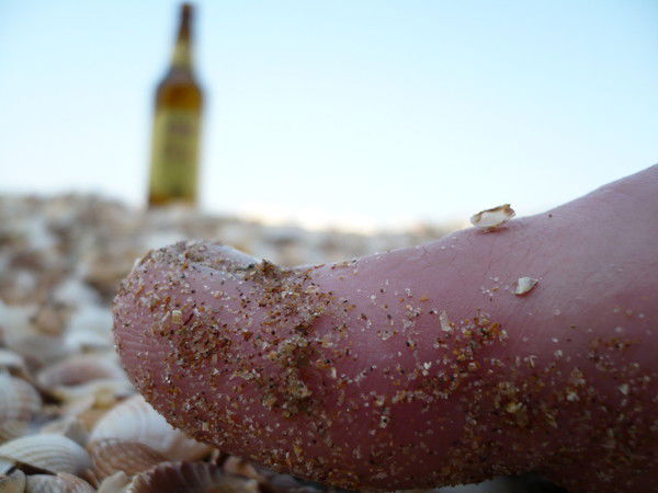 Светлана Денежук