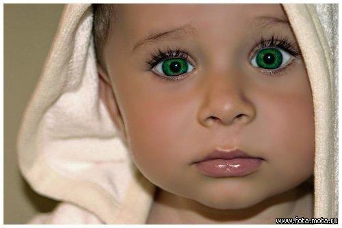 Максудов Тимур