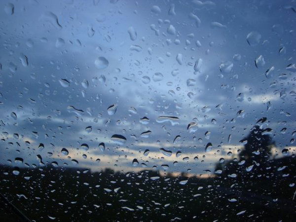 Vоdiтеlь Traмvаya