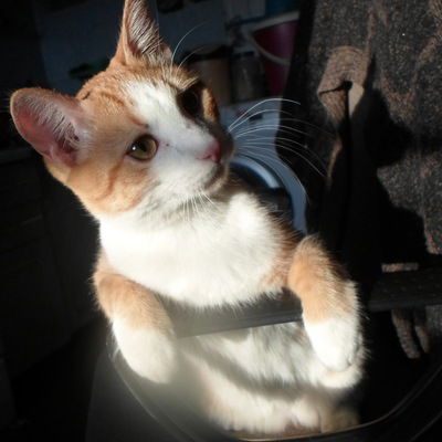 Людмила Куприянова