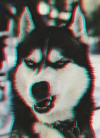 Иван Деркач