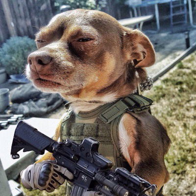 Илья Мартынов