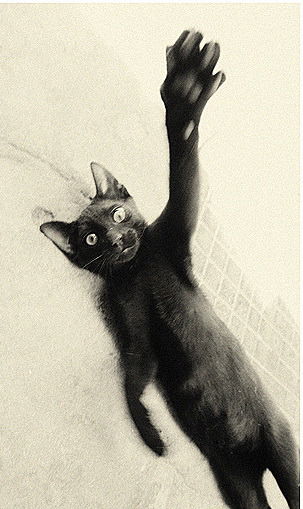 Артур Альметьев