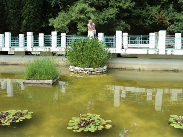 Константин Козин