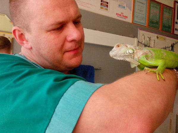 Максим Алексеев