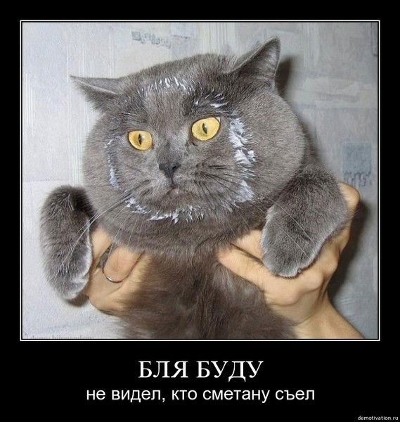 Опупел Вкорень