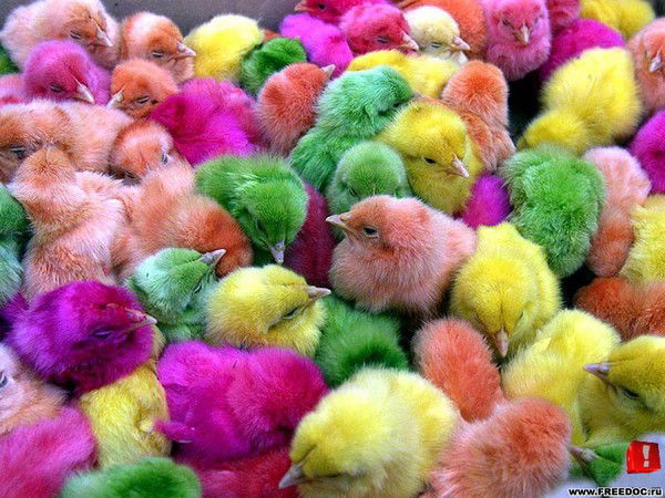 Муратбек Ермекбаев