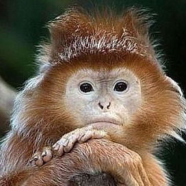 Галия Якупова(Наурузова)