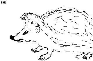 Екатерина Николаевна