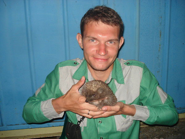 Николас Харли