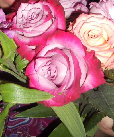 Марианна Лебедева